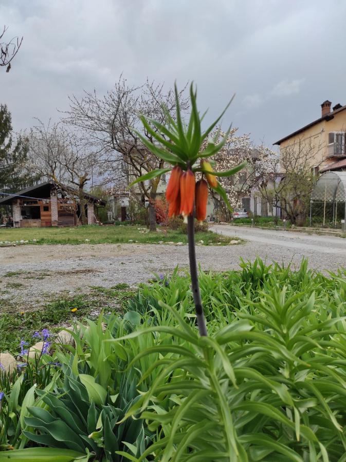 Tetto Alle Rondini Cuneo Buitenkant foto